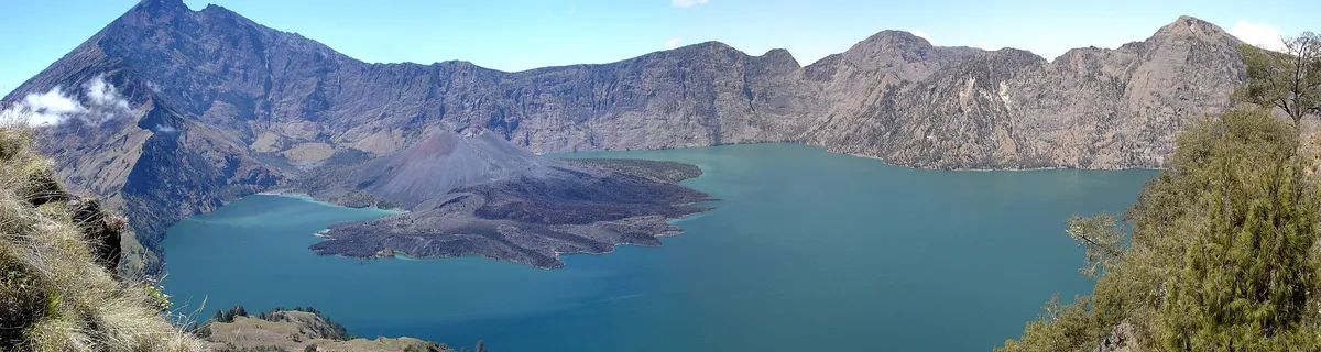 Reset Indonesia
