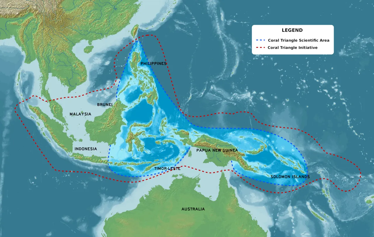 The Coral Triangle The Coral Triangle